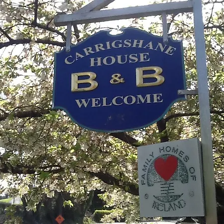 Bed and breakfast Carrigshane House
